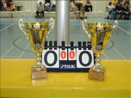 2006 - En aparté des finales de la Coupe