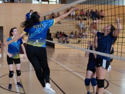 2026-coupe-dames